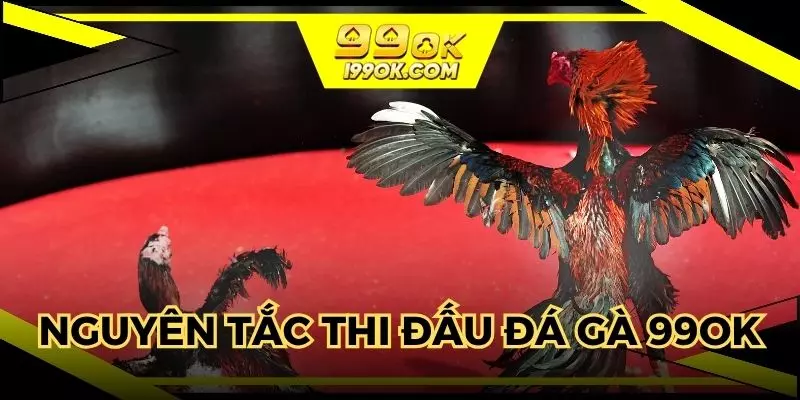 Nguyên tắc thi đấu và đặt cược cần nắm